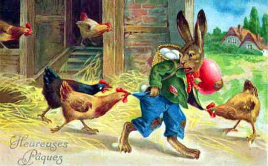 conejopascua01