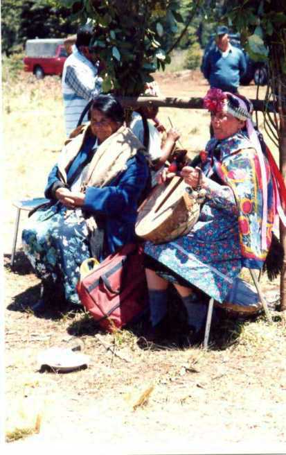 wetripantu01 wetripantu01