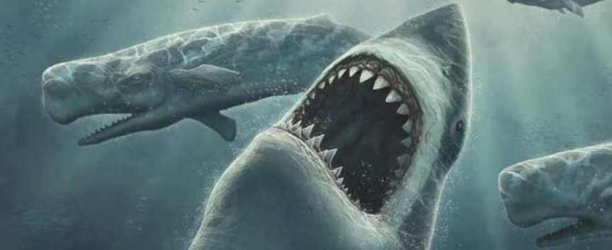 enorme-criatura-devora-tiburon-blanco
