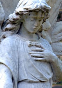 portada-enciende-luz